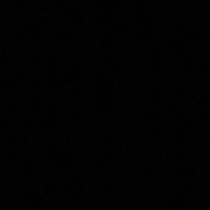 Meet your Posher, Daisy